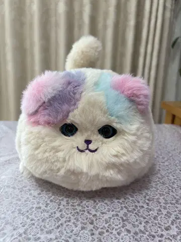 냥다 너는!?