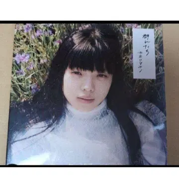 카네코 아야노 군집 CD