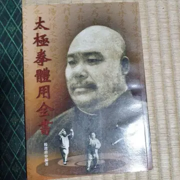 태극권 체용전서 양청부