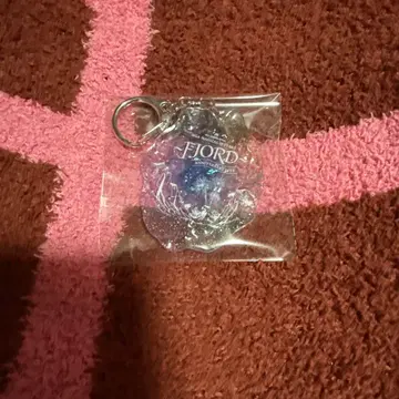 Mrs.GREEN APPLE FJORD 피요르드 아크릴 키링 B