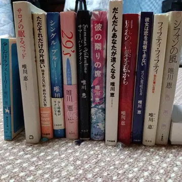 유이카와 메구미 12권 세트