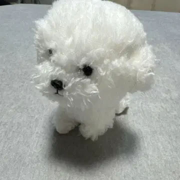 산레몬 봉제 인형 개 비숑 프리제 화이트