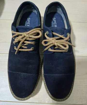 sperry top-sider sts13032 새상품급
