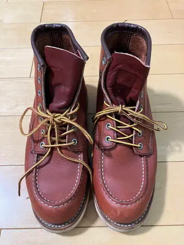 레드윙 REDWING 8875