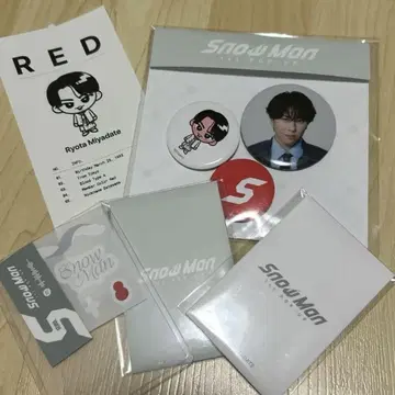 Snow Man 굿즈 세트 배지 카드
