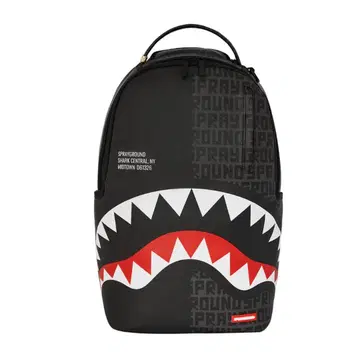 sprayground