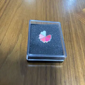 핀 배지