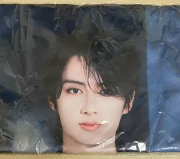 SEVENTEEN 세부치 준 big photo towel