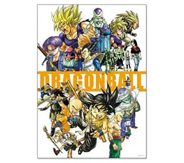 [ 미개봉 새상품 ] [ DRAGON BALL ] A 전 아트 포스터