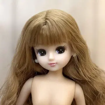 리카짱 인형 본체 브라운 웨이브 헤어