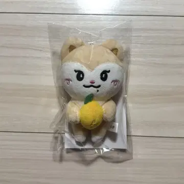 ITZY 백참 채령