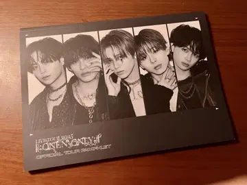 ONE N'ONLY 라이브 투어 2025 원엔온리 팜플렛