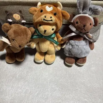 타리즈 간지 베어 3마리 세트