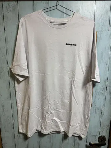 patagonia L 화이트 셔츠