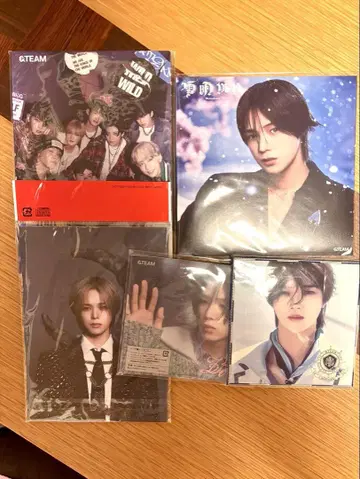 &TEAM WILD 최초 한정판 CD