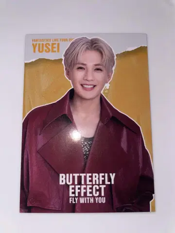 야기 유세이 포토 카드 시크릿
