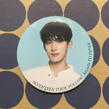 SEVENTEEN follow again 도겸 캔뱃지