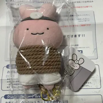 화이트 타이거와 블랙 타이거 도망치는 토끼 선생님 마스코트