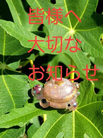 모두에게 소중한 공지