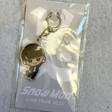 SnowMan 스노치루 아크릴 키링 와타나베 쇼타