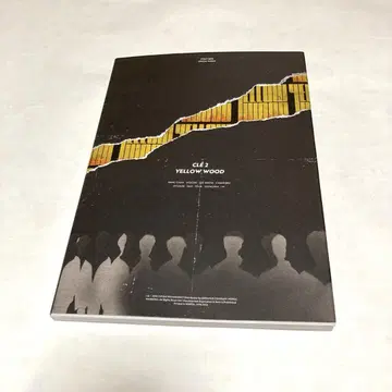 stray kids 방찬 yellow wood 한정판 CD