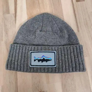 파타고니아 브로디오 비니 니트 캡 29206 FPAT 베이지