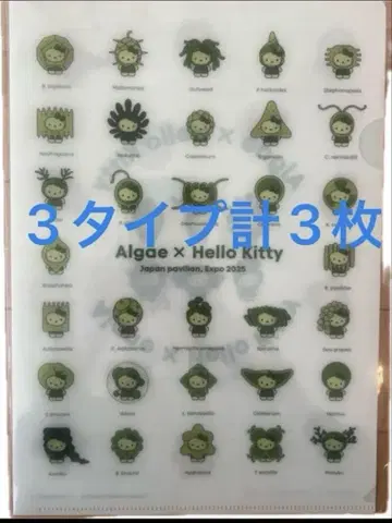 만박 산리오 콜라보 3개 A4 클리어 파일 조류