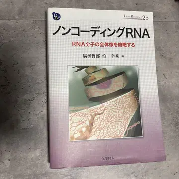 논코딩 RNA RNA 분자의 전체상을 조망하다