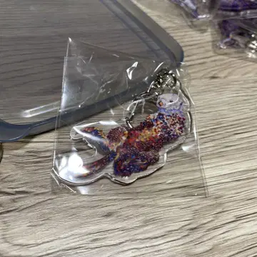 평면 수족관 랏코