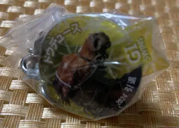 아이돌 호스 미니 컬렉션 SP 은퇴 두두스