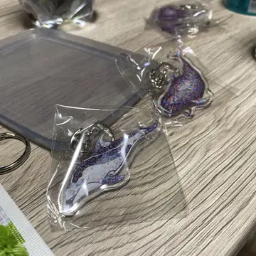 평면 수족관 코빌레 고래 카마 돌고래