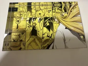 BLEACH 블리치 히라코 신지 이치마루 긴