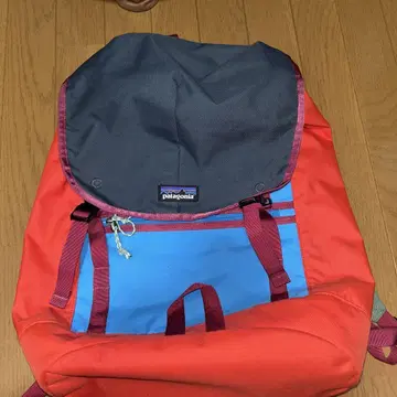 patagonia 플랩 백팩