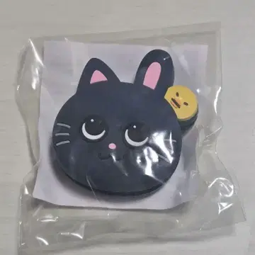 RIIZE 라이즈 부채 액세서리 원빈 토냥덕