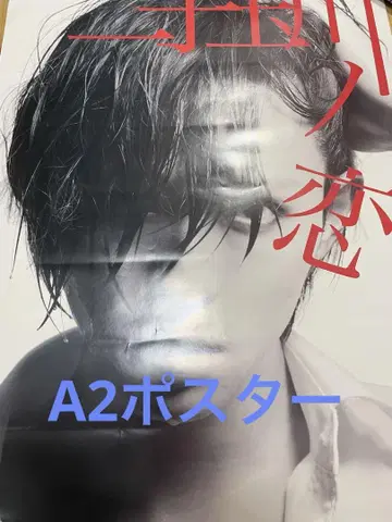 사사모리 히로키 니코타마가와 연애 A2 포스터