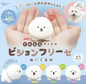 손바닥 사이즈 비숑 프리제 봉제 인형 컴플리트