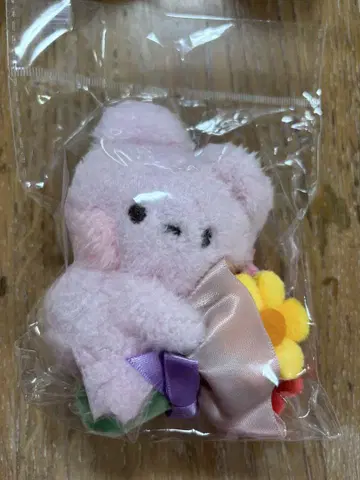 BT21 minini 부케 마스코트 COOKY 키링