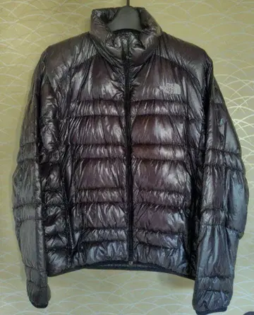 THE NORTH FACE 이너 다운 자켓 M 메탈릭 그레이