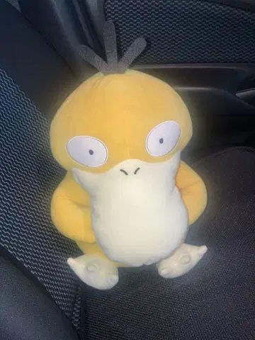 코닥 봉제 인형 약 30cm