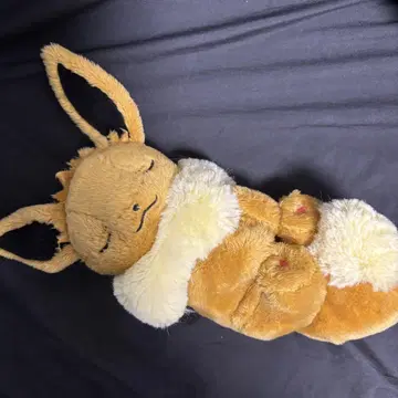 이브이 봉제 인형