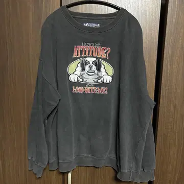 90s 빅독스 BIG DOGS 맨투맨