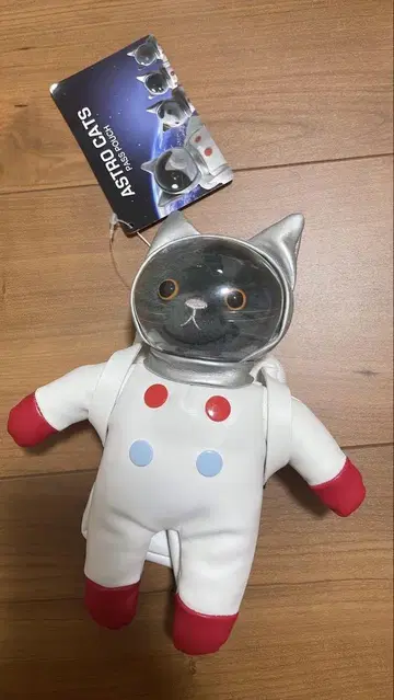 우주 비행사 고양이 봉제 인형 패스 케이스
