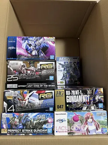 HG RG 건담 프라모델 세트