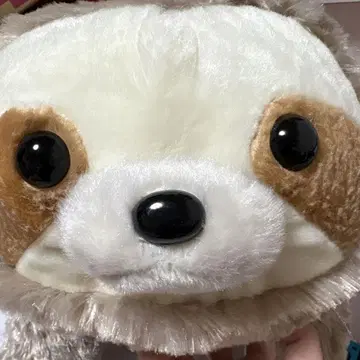 나무늘보 봉제 인형