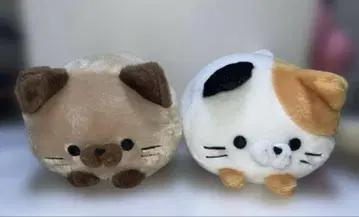 코로코로 냥코 봉제 인형 YELL 미케냥 샤무냥