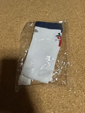 스에히로가리즈 타비 양말