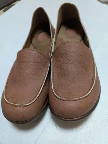 레게타카누