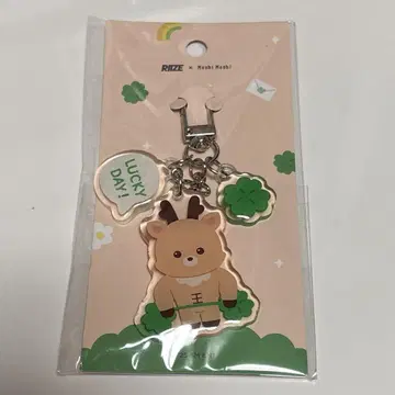 Riize moshi moshi 성찬 라이즈 키링