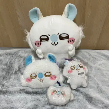 모몽가 묶음 판매