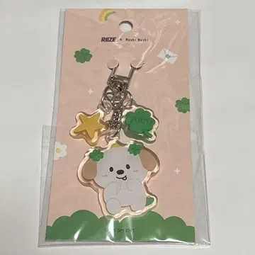 Riize moshi moshi 앤톤 라이즈 아크릴 키링
